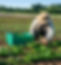 agricultural_edited.jpg